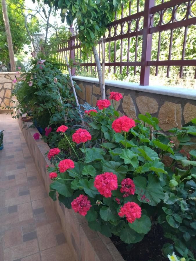 B&B One Vonitsa Exterior photo